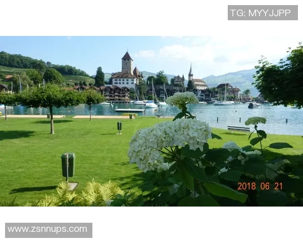 光头传奇瑞士足球巨星的绿茵故事与拼搏人生 光头传奇瑞士足球巨星的绿茵故事与拼搏人生