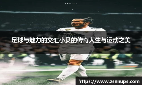 evo视讯登录入口.evo视讯官方网站